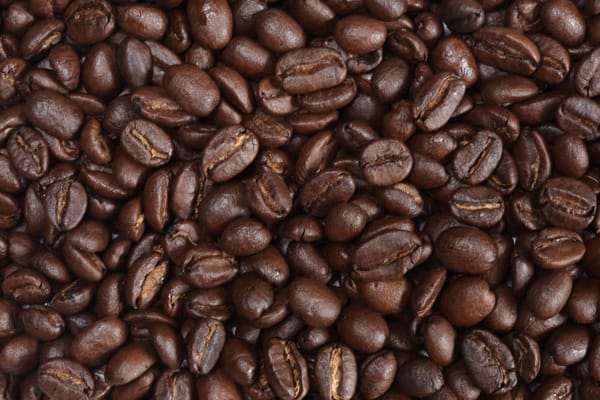 厳選したコーヒー豆
